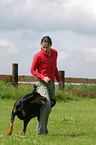 Dobermann beim Dog Dancing