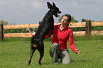 Dobermann beim Dog Dancing