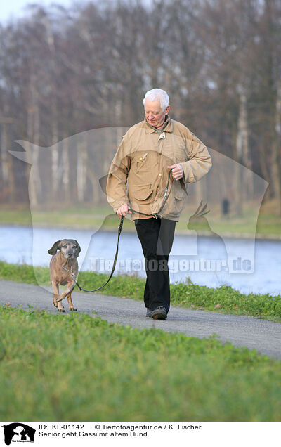 Senior geht Gassi mit altem Hund / KF-01142