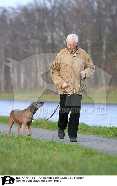 Senior geht Gassi mit altem Hund / KF-01143