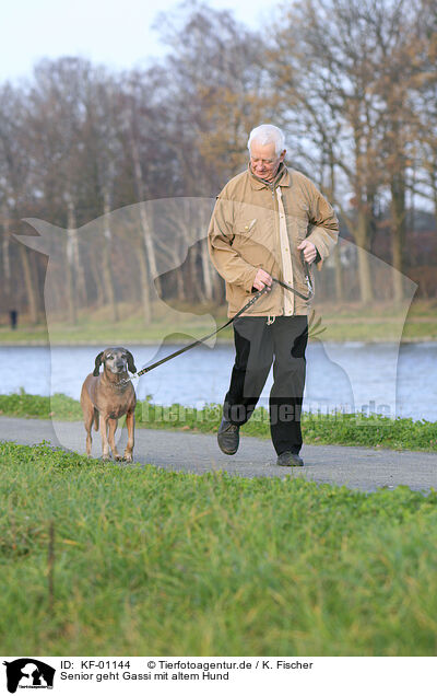 Senior geht Gassi mit altem Hund / Senior walk with old dog / KF-01144