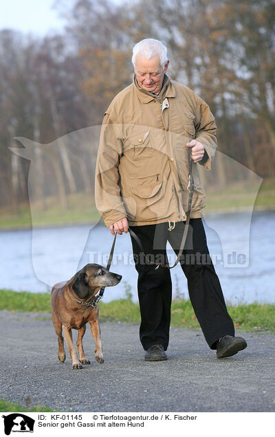 Senior geht Gassi mit altem Hund / KF-01145
