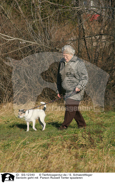Seniorin geht mit  Parson Russell Terrier spazieren / walk the dog / SS-12340