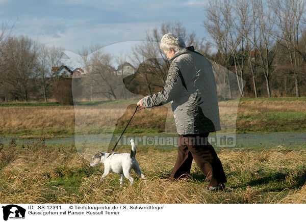 Gassi gehen mit Parson Russell Terrier / SS-12341