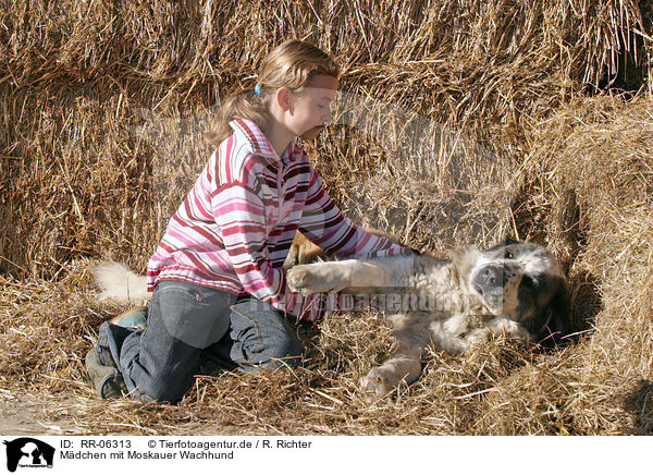 Mdchen mit Moskauer Wachhund / RR-06313