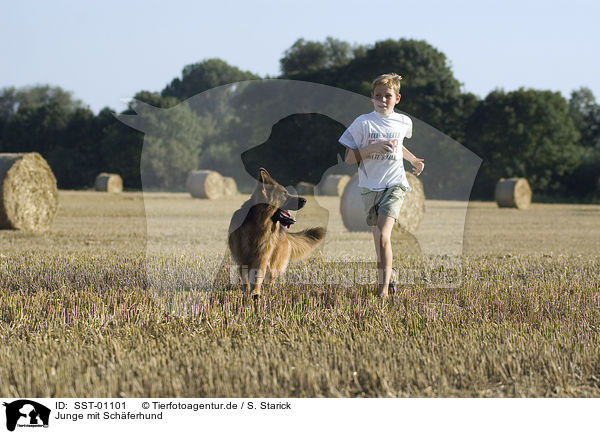 Junge mit Schferhund / boy with german shepherd / SST-01101