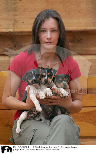 junge Frau mit Jack Russell Terrier Welpen / woman with Jack Russell Terrier puppies / SS-08324