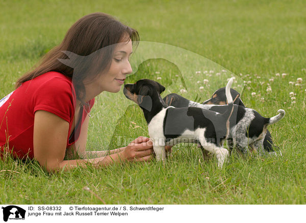 junge Frau mit Jack Russell Terrier Welpen / woman with Jack Russell Terrier puppies / SS-08332