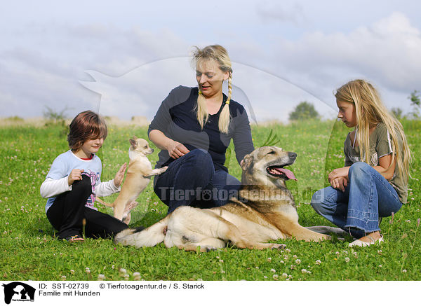 Familie mit Hunden / family with dogs / SST-02739