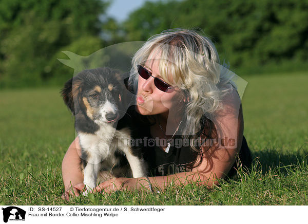 Frau mit Border-Collie-Mischling Welpe / woman with mongrel puppy / SS-14527