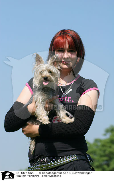 Frau mit Yorkshire-Terrier-Mischling / woman with small Mongrel / SS-14828