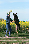 spielender Schferhund