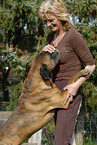 junge Frau mit Boxer