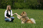 Frau mit Eurasier