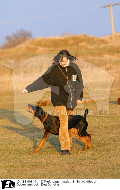 Dobermann beim Dog Dancing / SS-00849