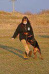 Dobermann beim Dog Dancing