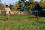 Rhodesian Ridgeback an der Laufleine