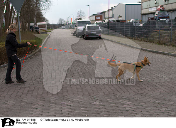 Personensuche / Mantrailing / AM-04488