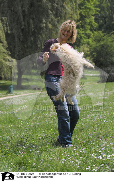 Hund springt auf Kommando / BD-00026
