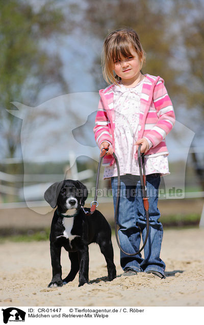 Mdchen und Retriever-Mix Welpe / CR-01447