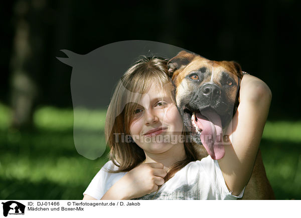 Mdchen und Boxer-Mix / DJ-01466