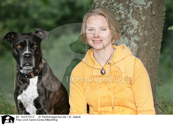 Frau und Cane-Corso-Mischling / woman and mongrel / DJ-01513