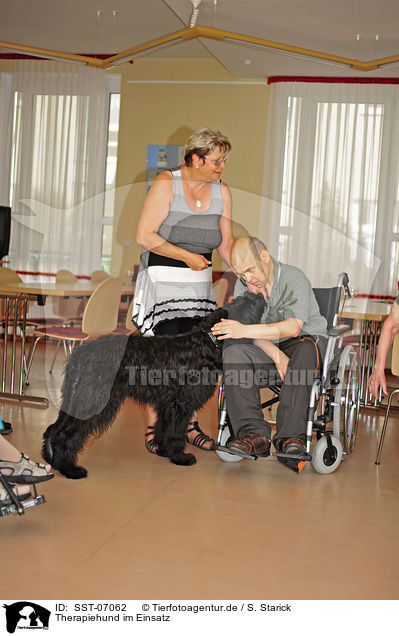 Therapiehund im Einsatz / therapy dog at work / SST-07062