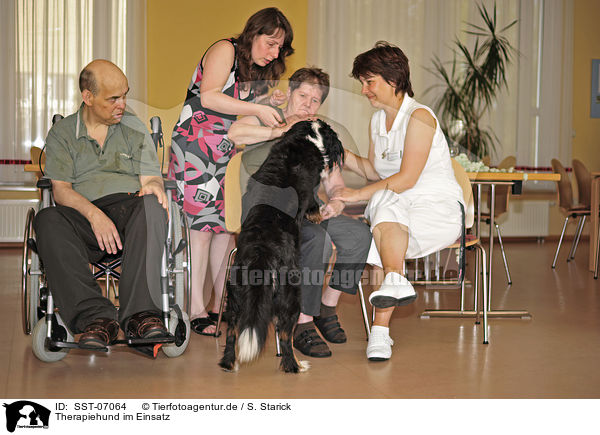 Therapiehund im Einsatz / therapy dog at work / SST-07064