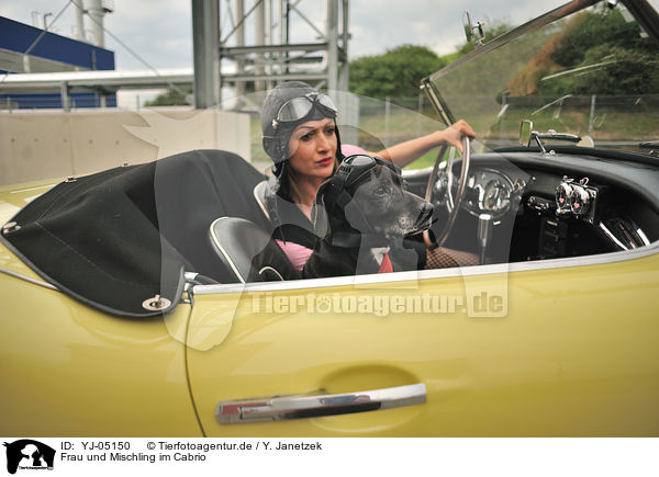Frau und Mischling im Cabrio / woman and mongrel / YJ-05150