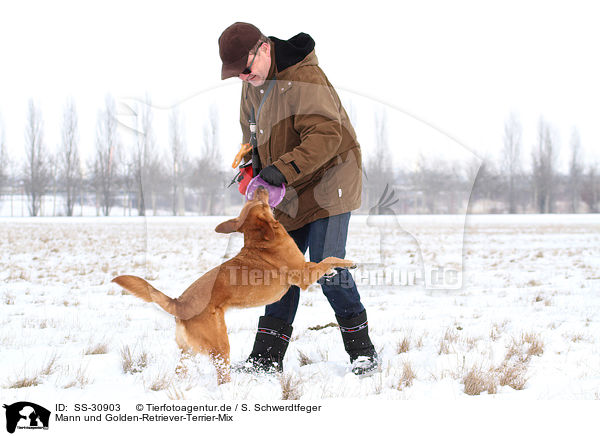 Mann und Golden-Retriever-Terrier-Mix / man and mongrel / SS-30903