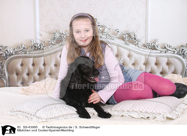 Mdchen und Cocker-Spaniel-Mischling / girl and Cocker-Spaniel-mongrel / SS-43995