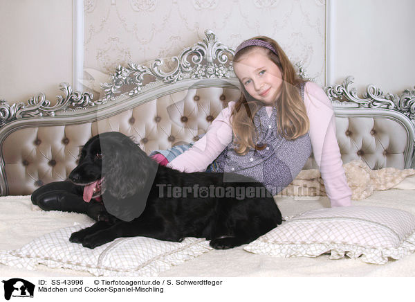 Mdchen und Cocker-Spaniel-Mischling / girl and Cocker-Spaniel-mongrel / SS-43996