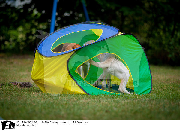 Hundeschule / MW-07196