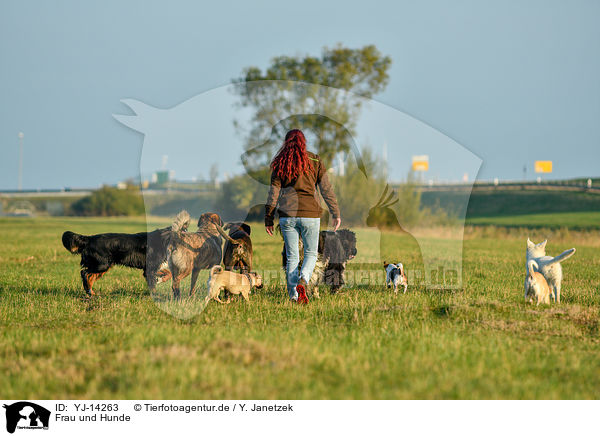 Frau und Hunde / woman and dogs / YJ-14263