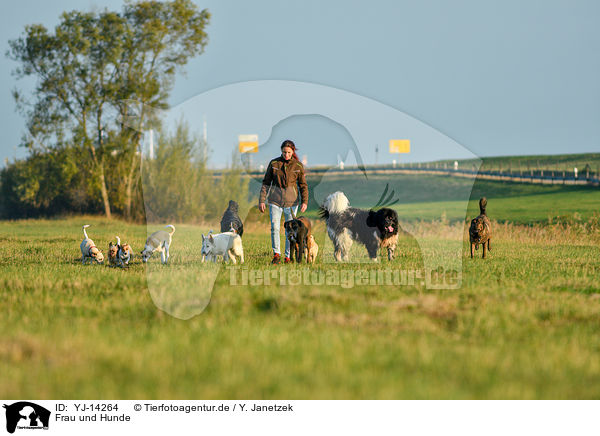 Frau und Hunde / woman and dogs / YJ-14264