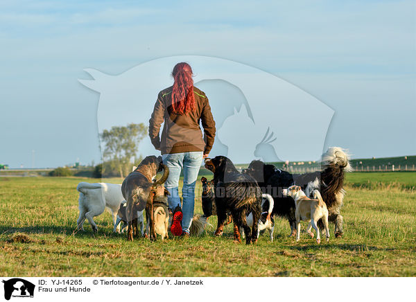 Frau und Hunde / woman and dogs / YJ-14265
