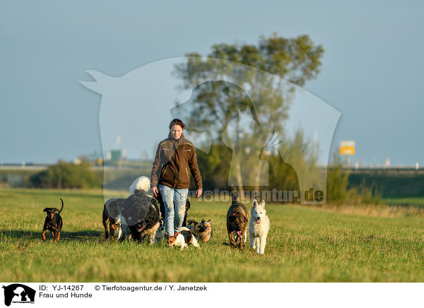 Frau und Hunde / woman and dogs / YJ-14267