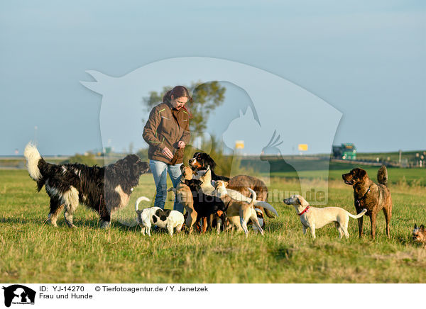 Frau und Hunde / woman and dogs / YJ-14270