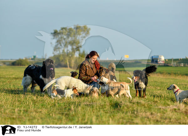 Frau und Hunde / woman and dogs / YJ-14272