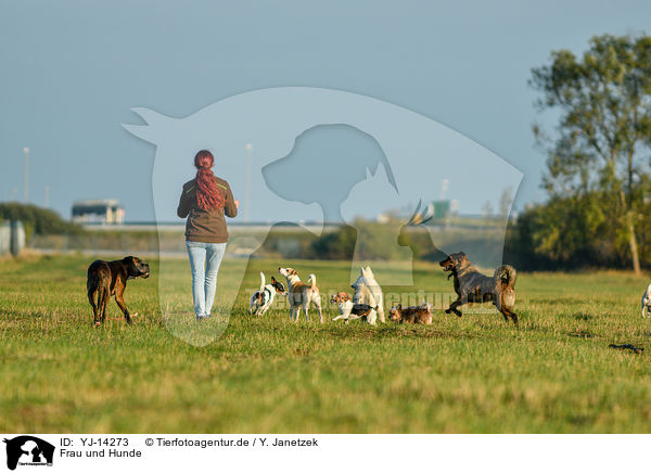 Frau und Hunde / woman and dogs / YJ-14273