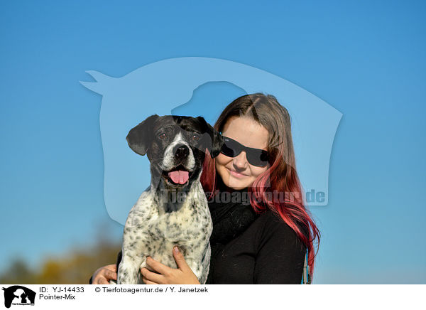 Pointer-Mix / Mongrel / YJ-14433