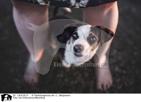Frau mit Chihuahua-Mischling / woman with Chihuahua-Mongrel / LB-01613