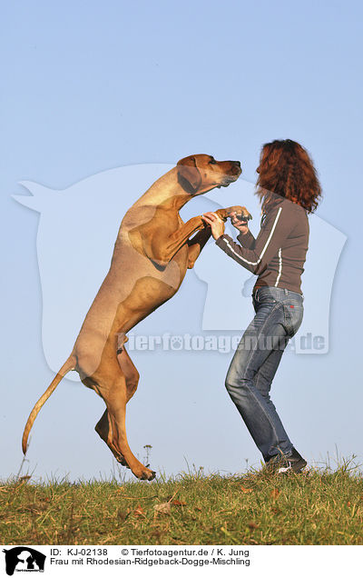 Frau mit Rhodesian-Ridgeback-Dogge-Mischling / woman with Rhodesian-Ridgeback-Great-Dane-Mongrel / KJ-02138