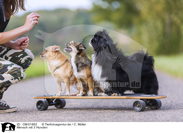 Mensch mit 3 Hunden / human with 3 Dogs / CM-01862