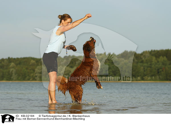 Frau mit Berner-Sennenhund-Bernhardiner-Mischling / woman with Bernese-Mountain-Dog-Saint-Bernard-Mongrel / KB-02184