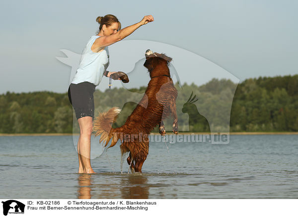 Frau mit Berner-Sennenhund-Bernhardiner-Mischling / woman with Bernese-Mountain-Dog-Saint-Bernard-Mongrel / KB-02186
