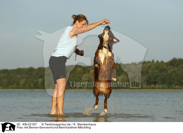 Frau mit Berner-Sennenhund-Bernhardiner-Mischling / woman with Bernese-Mountain-Dog-Saint-Bernard-Mongrel / KB-02187