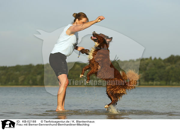 Frau mit Berner-Sennenhund-Bernhardiner-Mischling / woman with Bernese-Mountain-Dog-Saint-Bernard-Mongrel / KB-02188