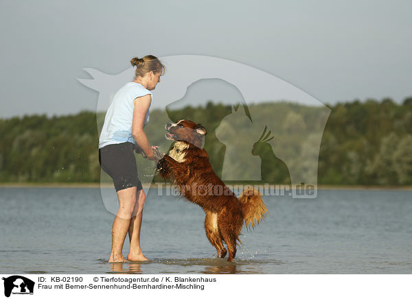 Frau mit Berner-Sennenhund-Bernhardiner-Mischling / woman with Bernese-Mountain-Dog-Saint-Bernard-Mongrel / KB-02190