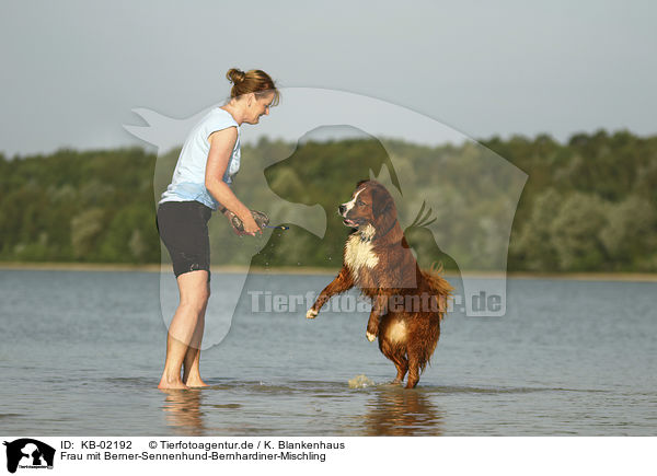 Frau mit Berner-Sennenhund-Bernhardiner-Mischling / woman with Bernese-Mountain-Dog-Saint-Bernard-Mongrel / KB-02192